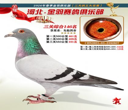 ����������ֲ����ظ���146��