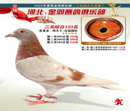 ����������ֲ����ظ���153��