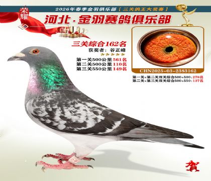����������ֲ����ظ���162��