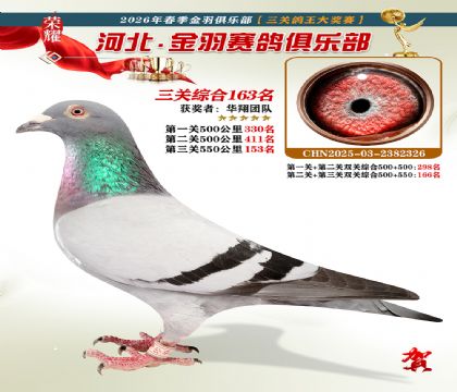 ����������ֲ����ظ���163��
