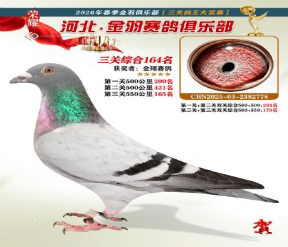 ����������ֲ����ظ���164��