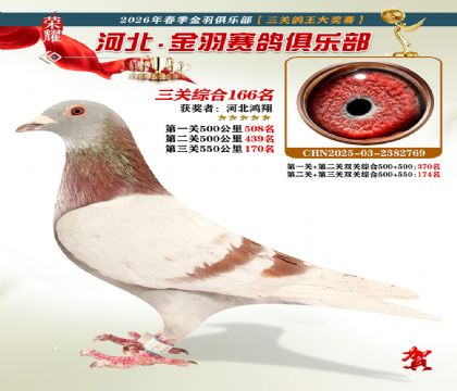 ����������ֲ����ظ���166��