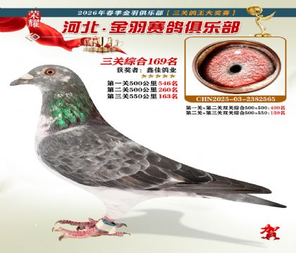 ����������ֲ����ظ���169��