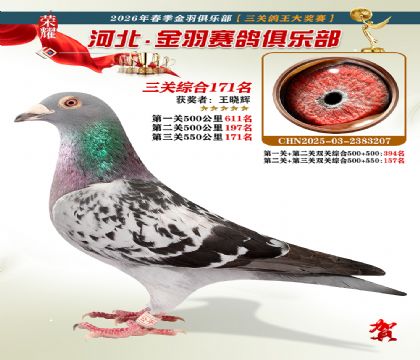 ����������ֲ����ظ���171��
