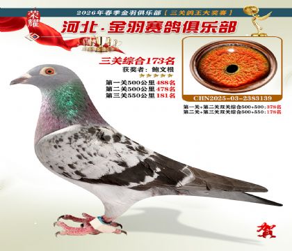 ����������ֲ����ظ���173��