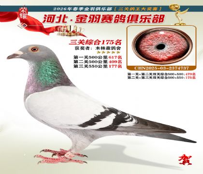 ����������ֲ����ظ���175��