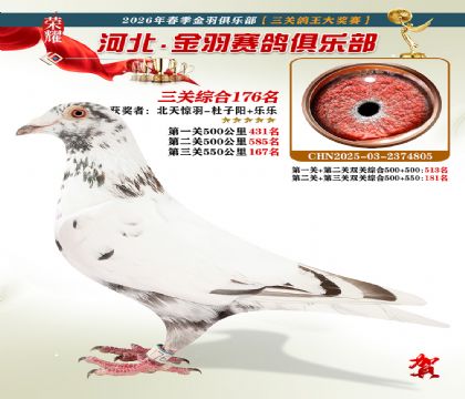 ����������ֲ����ظ���176��