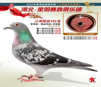 ����������ֲ����ظ���181��