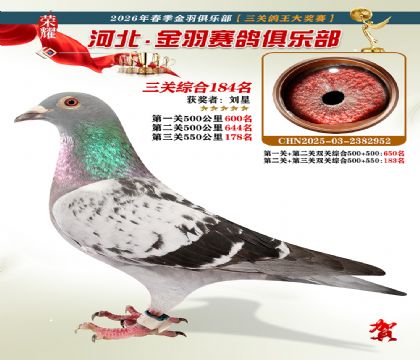 ����������ֲ����ظ���184��