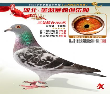 ����������ֲ����ظ���185��