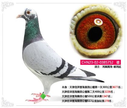 �������ۺ����빫��517�����վ��278��   ��	
