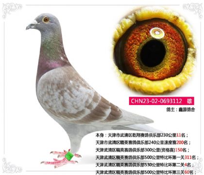 �����������Ӣ������ֲ�530�����رȻ��ڶ���4��   ��	
