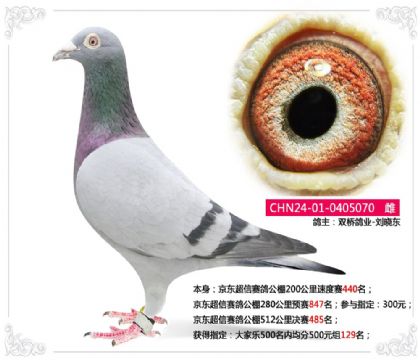 �����������빫��512�������485��  ��