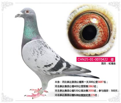 �ӱ�̩�����빫��538�����վ��376��  ��	
