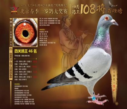 �����������ϲ���������ӥ�Ĺء������Ĺ��ۺϸ���46��  ��