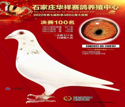 �ӱ�ʯ��ׯ�������빫��480�������100��   ��	