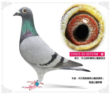 �����������빫�￵��ȫ--�ӱ��������빫��������   ��	