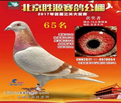 ����ʤԴ���빫��˫�ظ���37��   ��	