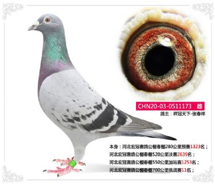 �ӱ�������빫�ﴺ��700������ս��11��   ��	