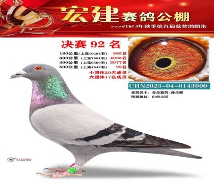 �ӱ��꽨���빫��500�������92��   ��	