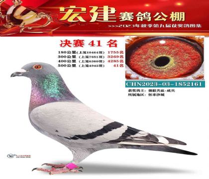 �ӱ��꽨���빫��500�������41��   ��	