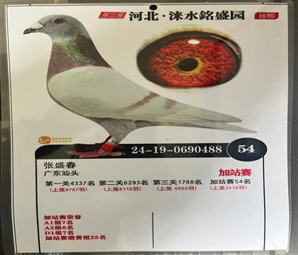 ����Ƭ��뷢��