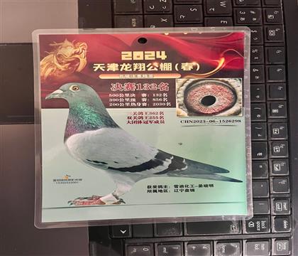 ����Ƭ��뷢��