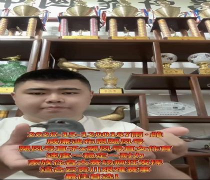 ����ӮǮ�����������ϲ�����쫷�š�ֱ��X��쫷�š�ֱŮ