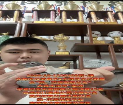 ����ʵսר�ң���.������˹��Ů��ֱ��X���޺�ֱŮ
