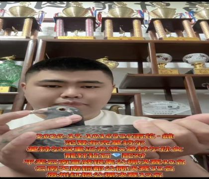 �����ȶ������ǲ��ˡ����ض�˫�ؽ����ۡ�X�����ض�����Ů