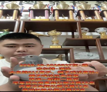 ������ӮǮ������������.����ñ��Ϸ��ֱ��Xñ��Ϸ����Ů