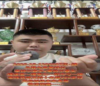 �ƹ������ѡ�����ǲ��ˡ����ض���ֱ��X�����ض���ֱŮ