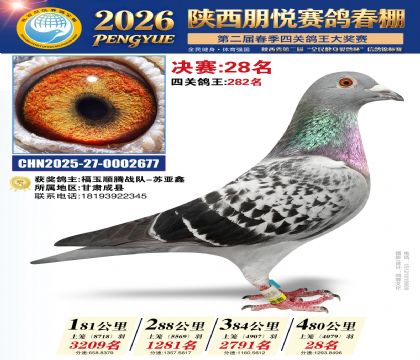 �������þ���28��