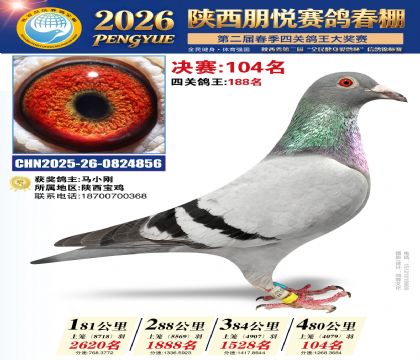 陕西朋悦决赛104名