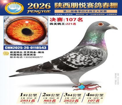 陕西朋悦决赛107名