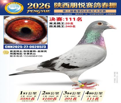 陕西朋悦决赛111名