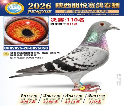 陕西朋悦决赛110名