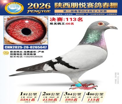 陕西朋悦决赛113名
