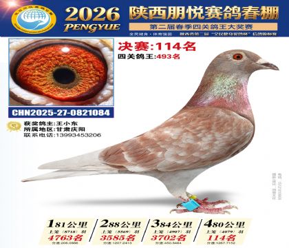 陕西朋悦决赛114名