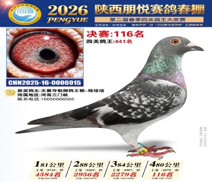 陕西朋悦决赛116名