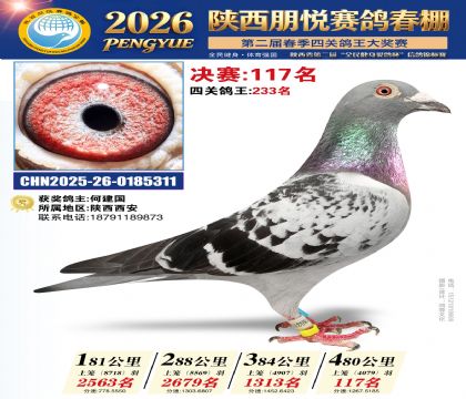 陕西朋悦决赛117名