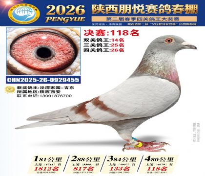 陕西朋悦决赛118名