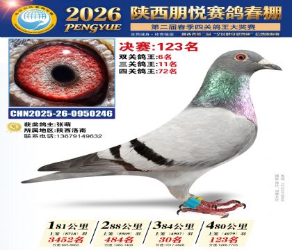 陕西朋悦决赛123名