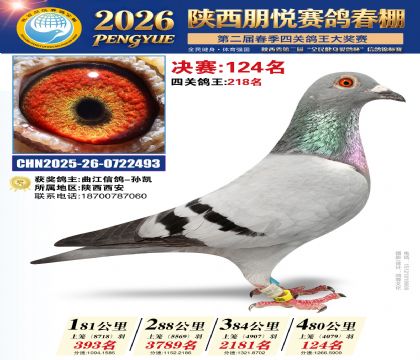 陕西朋悦决赛124名