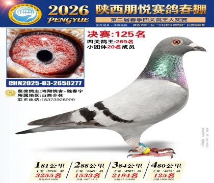 陕西朋悦决赛125名