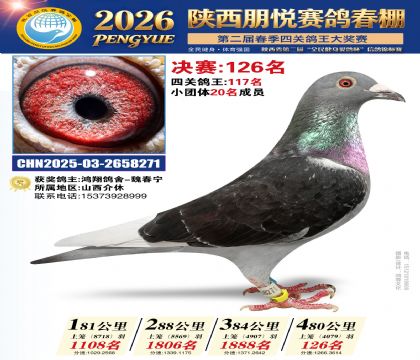 陕西朋悦决赛126名