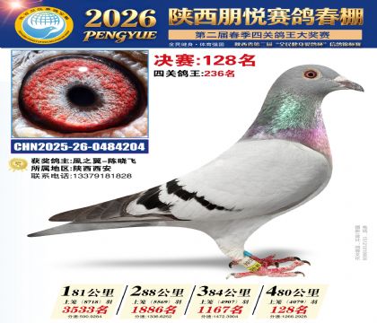 陕西朋悦决赛128名