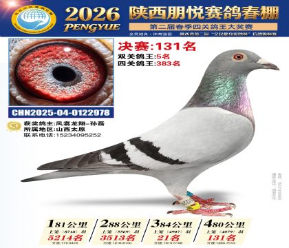 陕西朋悦决赛131名