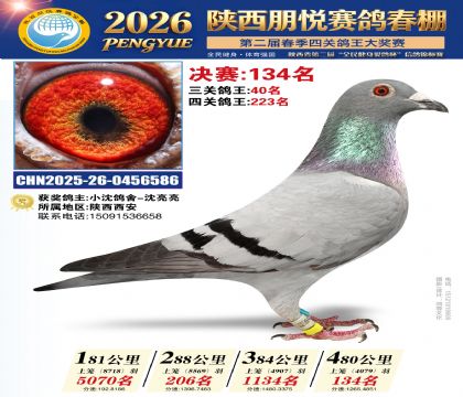 陕西朋悦决赛134名