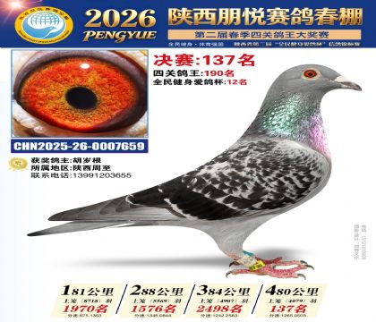 陕西朋悦决赛137名